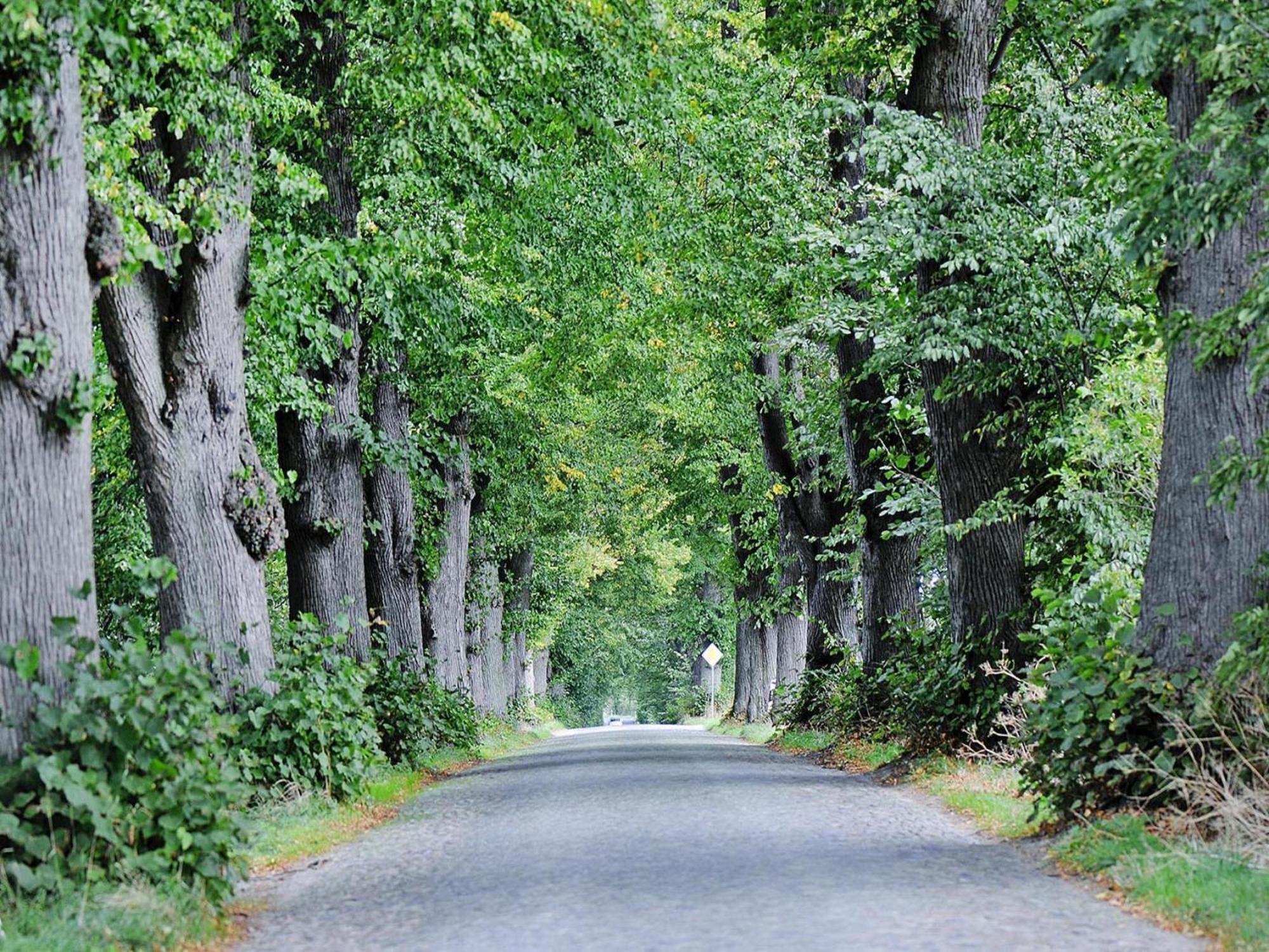 Gutshaus Zicker In Garz Villa Garz  Kültér fotó